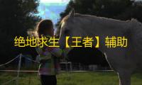 绝地求生【王者】辅助