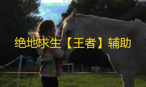 绝地求生【王者】辅助