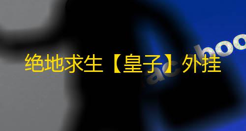 绝地求生【皇子】外挂