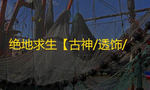 绝地求生【古神/透饰/子弹追踪/过玄武磐石/物资/雷达】辅助