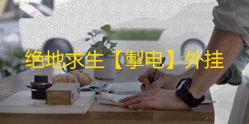 绝地求生【掣电】外挂