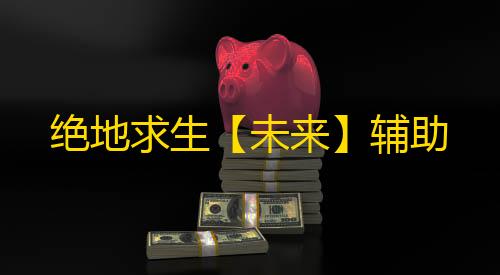 绝地求生【未来】辅助