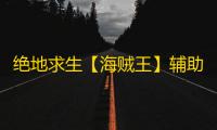 绝地求生【海贼王】辅助
