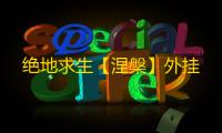 绝地求生【涅槃】外挂