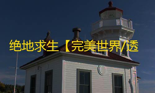 绝地求生【完美世界/透饰/梓喵/垂直射击无后座/性能模式/过玄武磐石/物资/雷达】辅助