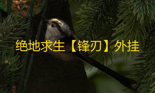 绝地求生【锋刃】外挂
