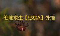 绝地求生【黑桃A】外挂