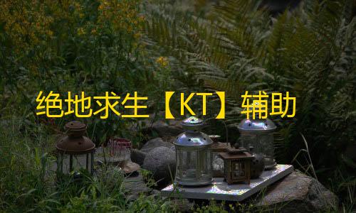 绝地求生【KT】辅助