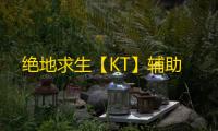 绝地求生【KT】辅助