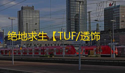 绝地求生【TUF/透饰/预判梓喵/物资/雷达/过玄武磐石】辅助